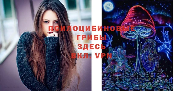 ешки Беломорск