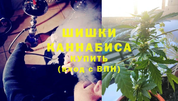 прущие грибы Белоозёрский