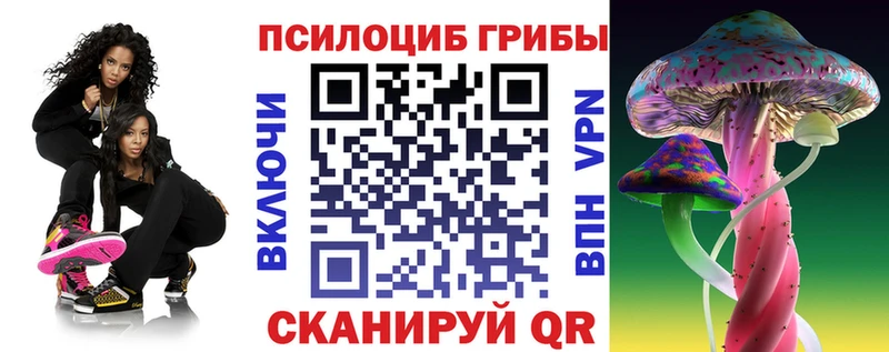 Псилоцибиновые грибы MAGIC MUSHROOMS  Чаплыгин 